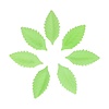 FunCakes Eetbare Papieren Groene Blaadjes pk/50