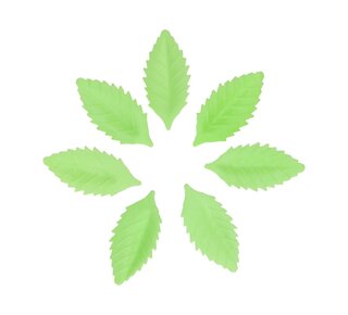 Funcakes Eetbare Papieren Groene Blaadjes / blad  pk/50