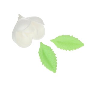 Funcakes FunCakes Eetbare Papieren Bloemen Tulp & Blaadjes pk/12