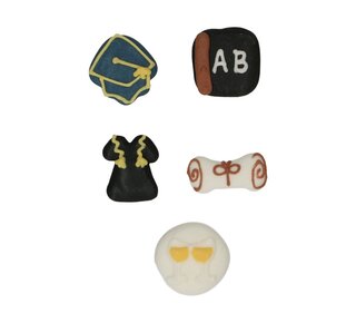 Funcakes Suikerdecoratie Geslaagd / Graduation set 8 stuks