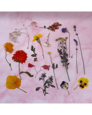 Eetbare Geperste Bloementuin met Steel (15 stuks)