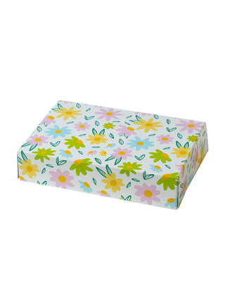 decora Treat box 23,5x16x5cm lente