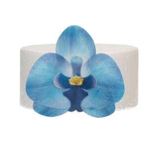 Funcakes FunCakes Eetbare Papieren Bloemen Deluxe Orchidee Blauw Medium pk/10