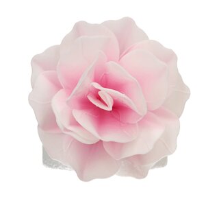 Funcakes FunCakes Eetbare Papieren Bloemen Deluxe Rose Pastella Roze Ombre Groot pk/1