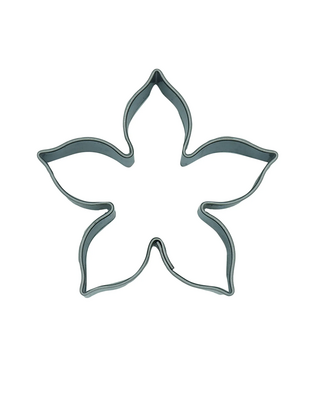 walters Koekjesvorm bloem clemantis 5cm