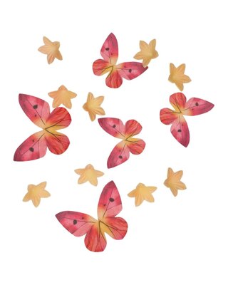 Funcakes Eetbare Papieren Decoraties Bloemen & Vlinders Oranje Roze set/30
