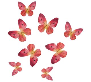 Funcakes Eetbare Papieren Decoraties Vlinders Omre Roze set/8