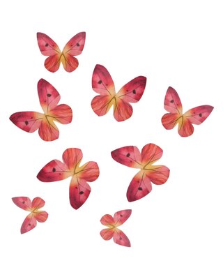 Funcakes Eetbare Papieren Decoraties Vlinders Omre Roze set/8