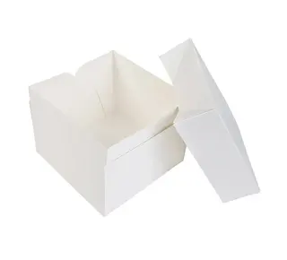 Brand New Cake 20x20x15cm Taartdoos -Blanco- doos 50 stuks