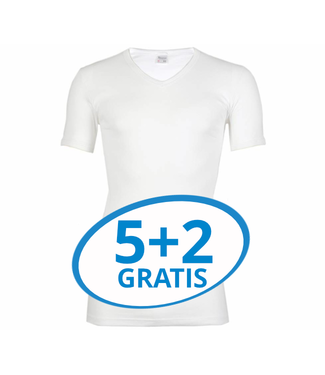 Beeren Heren T-Shirt V-Hals M3000 Wit voordeelpack B