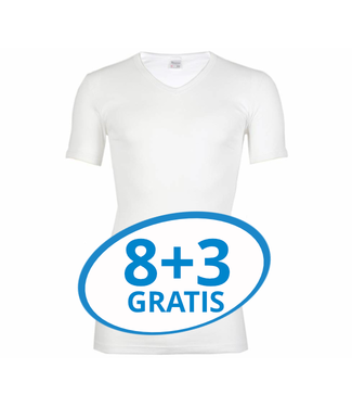 Beeren Heren T-Shirt V-Hals M3000 Wit voordeelpack C