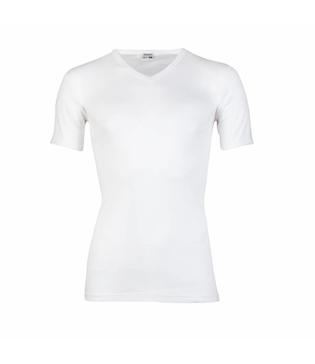 Beeren Heren T-Shirt V-Hals M3000 Wit voordeelpack C