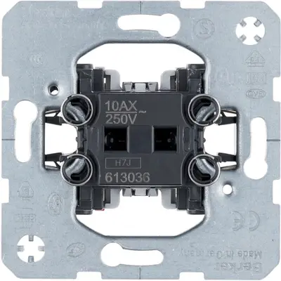 Berker wisselschakelaar 10A (613036)
