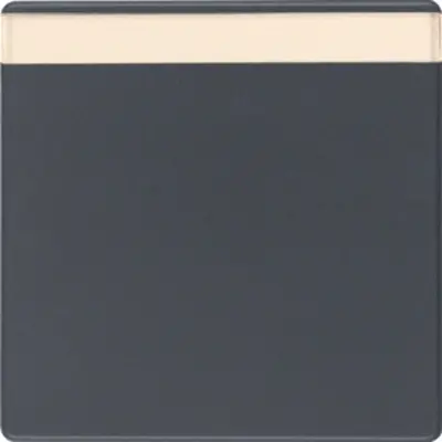Berker schakelwip tekstveld Q1/Q3/Q7 antraciet (16266086)