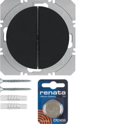 Berker wandzend.ql 2v zwrt r1/r3 (85656231)