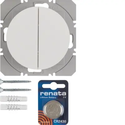 Berker wandzend.ql 2-v p.w.r1/r3 (85656239)