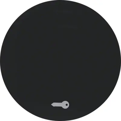 Berker schakelwip symbool sleutel R1/R3 zwart (16202015)