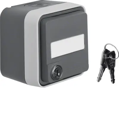 Berker W1 wandcontactdoos randaarde slot compleet grijs (47393505)