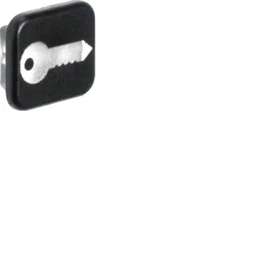 Berker W1 lens met symboolopdruk sleutel 10 stuks (18223503)