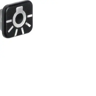 Berker W1 lens met symboolopdruk licht 10 stuks (18223501)