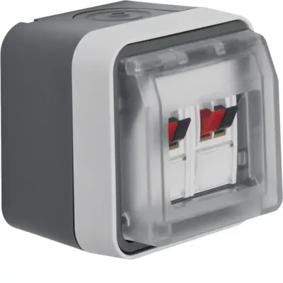 Berker W1 luidsprekeraansluiting 2-voudig compleet grijs (11963515)