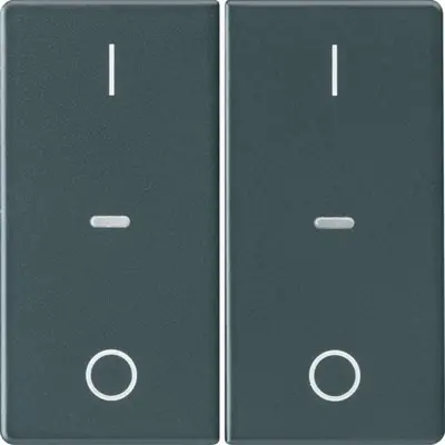 Berker afdek 2v drkknp i/o q ant (80962326)