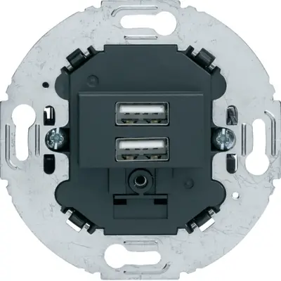 Berker USB-wandcontactdoos 3A 2-voudig antraciet mat voor 1930 en R.Classic (260215)