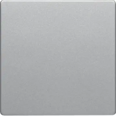 Berker outlet (75940224)