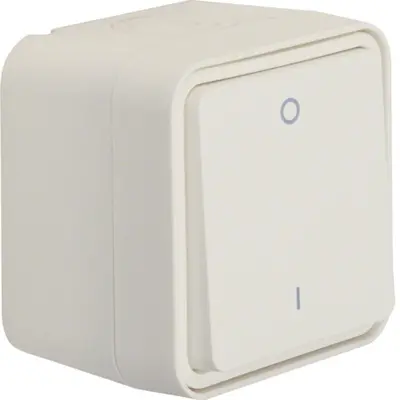 Berker W1 schakelaar 2-polig compleet wit (30723502)