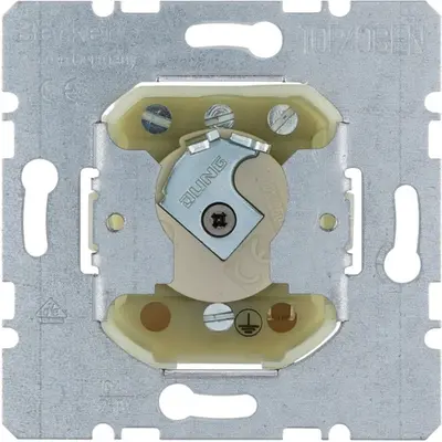 Berker instsch (383620)