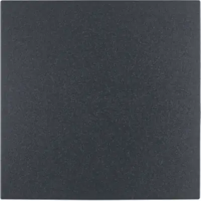 Berker blindsl antra mat glas (75940285)