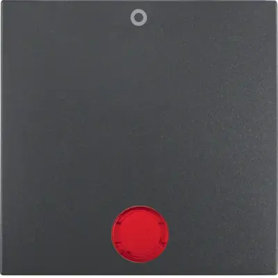 Berker schakelwip controlevenster met opdruk 0 S1 IP44 antraciet mat (16291636)