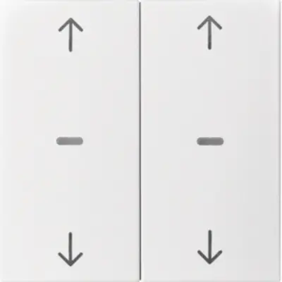 Berker afdek drukkn mod 2v pijlsym (80961399)