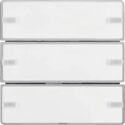 Berker drukknop opzetmod 3v txt (80143321)