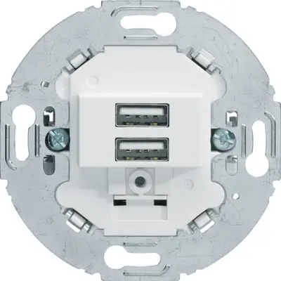 Berker USB-wandcontactdoos 3A 2-voudig wit mat voor 1930 en R.Classic (260219)