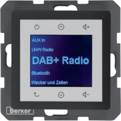 Berker Radio Touch DAB+ Q1/Q3/Q7 antraciet soft finish (29846086)