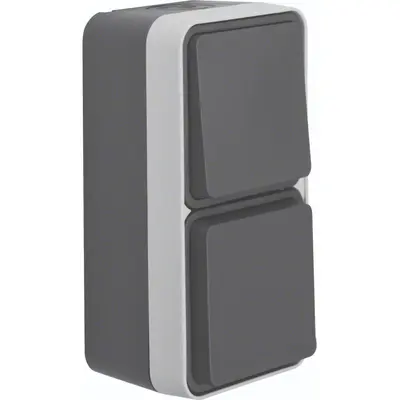 Hager Berker W1 combinatie wisselschakelaar en wandcontactdoos compleet grijs (WNC080)