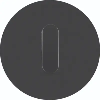 Hager Berker draaigreep aan-/uit-schakelaar R.Classic glas zwart (WTD9131GB)