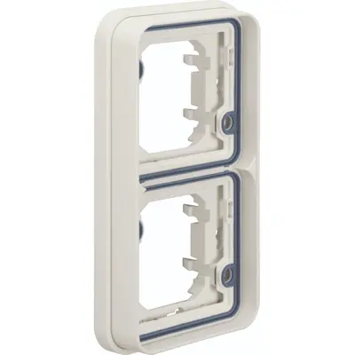 Berker inbouwraam 2-voudig vert w1 wi (WNA408B)