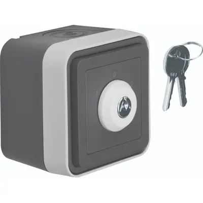 Berker jaloezie-sleutels +behui w1 gr (WNC036)