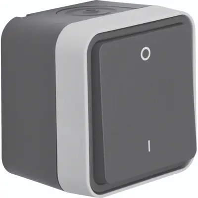 Hager Berker W1 schakelaar 2-polig compleet grijs (WNC008)