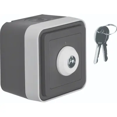 Berker sleutel-schak +behuizing w1 gr (WNC035)