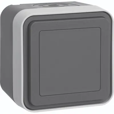 Berker blindplaat + behuizingw1 gr (WNC157)