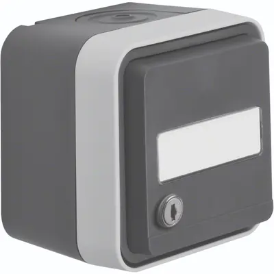 Hager Berker W1 wandcontactdoos met randaarde, tekstveld en sleutelsluiting gelijksluitend compleet grijs (WNC166)