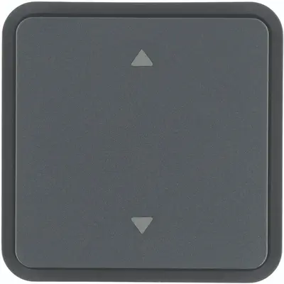 Hager Berker wip 1v w1 pijlsymbool gr (WNT942)