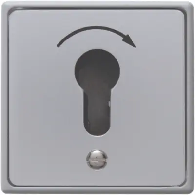 Hager Berker sleutelimpulsdr inb ip44 (WDE4450)