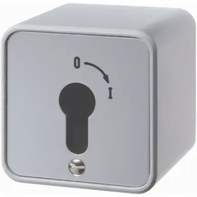 Hager Berker sleutelschak opbouw ip44 (WDE4466)