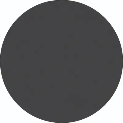 Hager Berker schakelwip R1/R3 zwart (WLW1000BG)