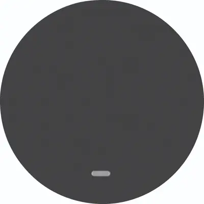 Hager Berker schakelwip controlevenster R1/R3 zwart (WLW1331BG)