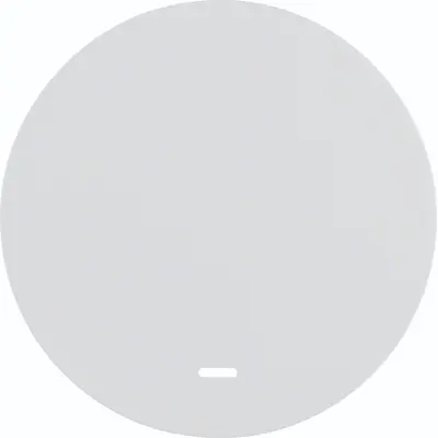 Hager Berker schakelwip controlevenster R1/R3/R8 wit (WLW1331WG)